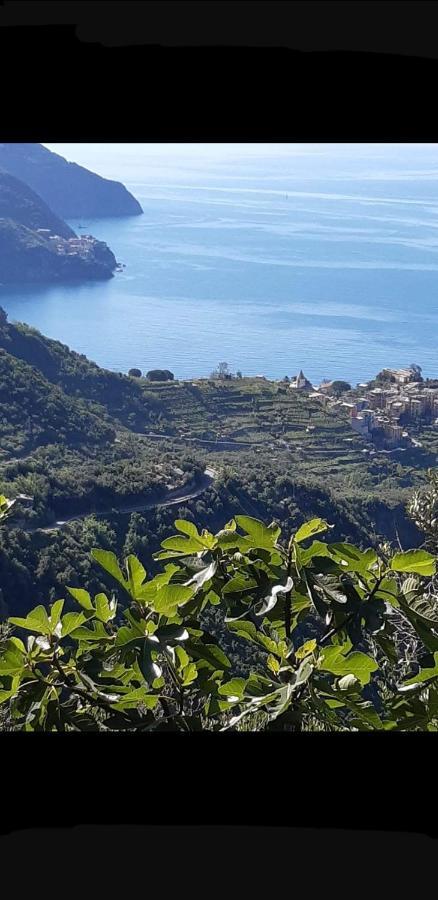 Residenza Solferino Corniglia Exterior foto